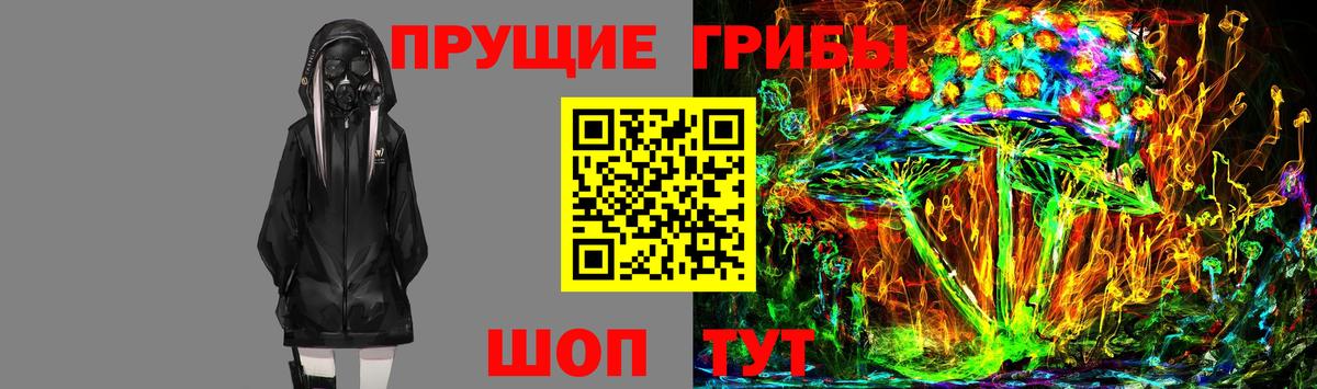 где продают   Псилоцибиновые грибы ЛСД  Вход с VPN  Джанкой 